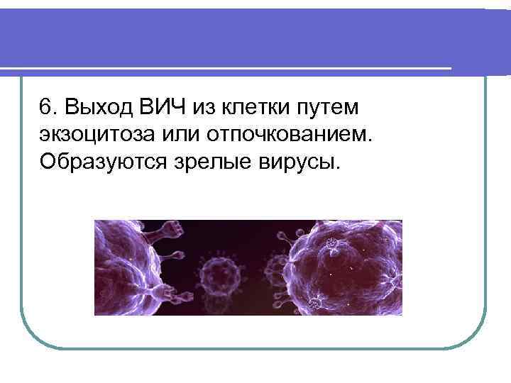 6. Выход ВИЧ из клетки путем экзоцитоза или отпочкованием. Образуются зрелые вирусы. 