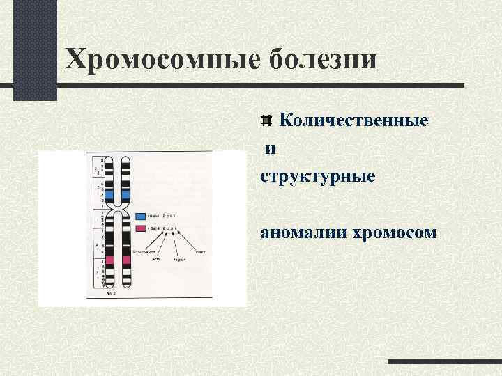 Аномалия хромосом. Количественные хромосомные аномалии. Структурные хромосомные аномалии. Хромосомные болезни количественные и структурные аномалии хромосом. Синдромы структурных аномалий хромосом.