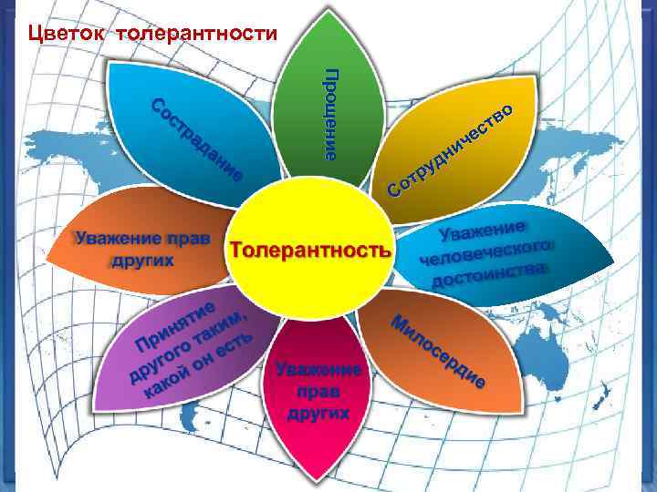 Цветок толерантности Прощение о тв с че и дн у тр Со 
