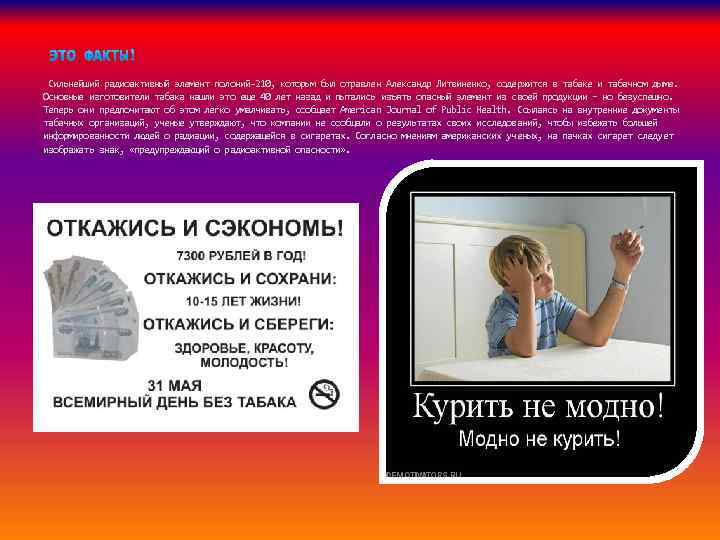  Сильнейший радиоактивный элемент полоний-210, которым был отравлен Александр Литвиненко, содержится в табаке и