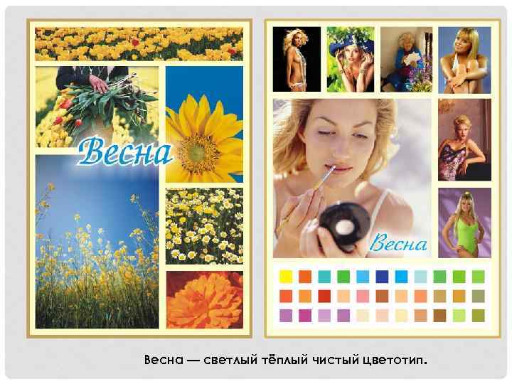 Весна — светлый тёплый чистый цветотип. 