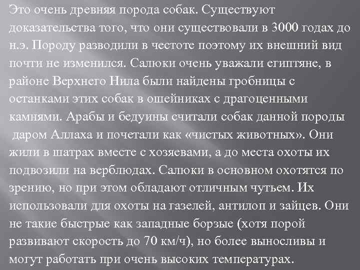 Это очень древняя порода собак. Существуют доказательства того, что они существовали в 3000 годах