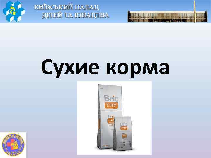 Сухие корма 