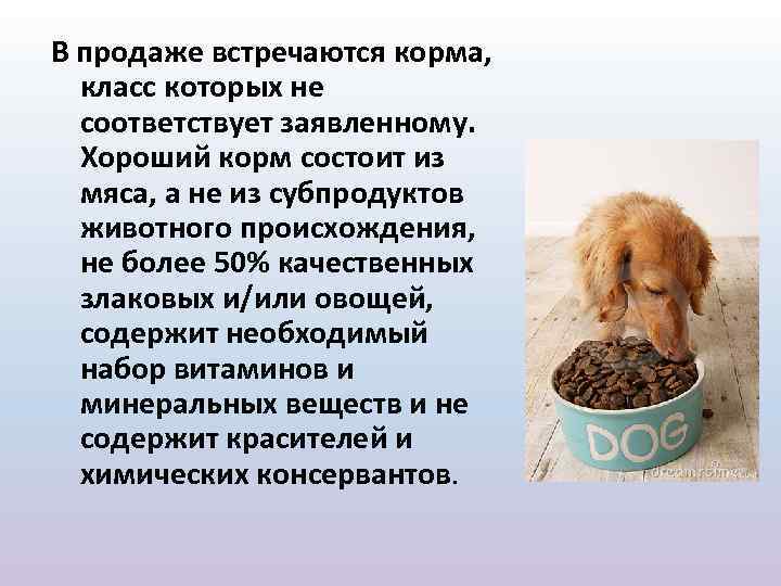 В продаже встречаются корма, класс которых не соответствует заявленному. Хороший корм состоит из мяса,