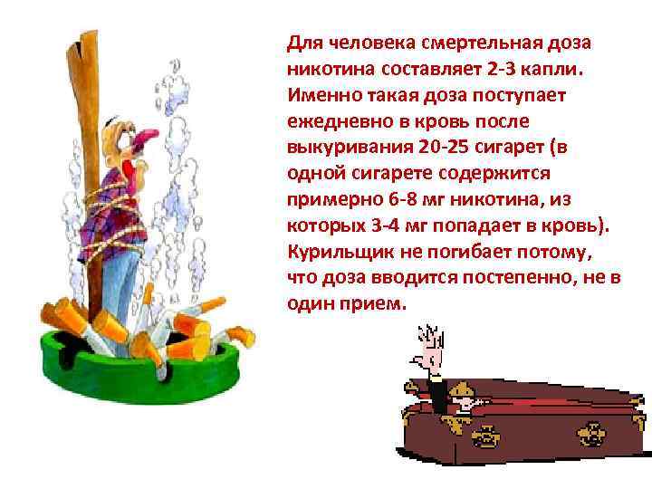 Для человека смертельная доза никотина составляет 2 -3 капли. Именно такая доза поступает ежедневно