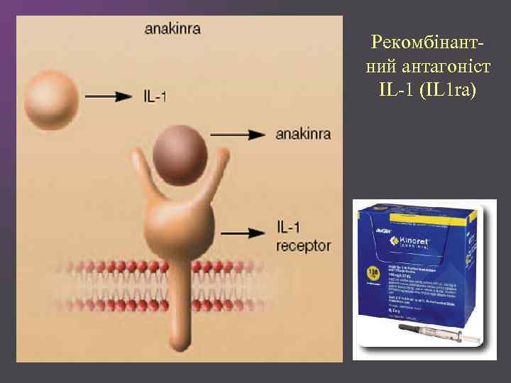 Рекомбінантний антагоніст IL-1 (IL 1 ra) 