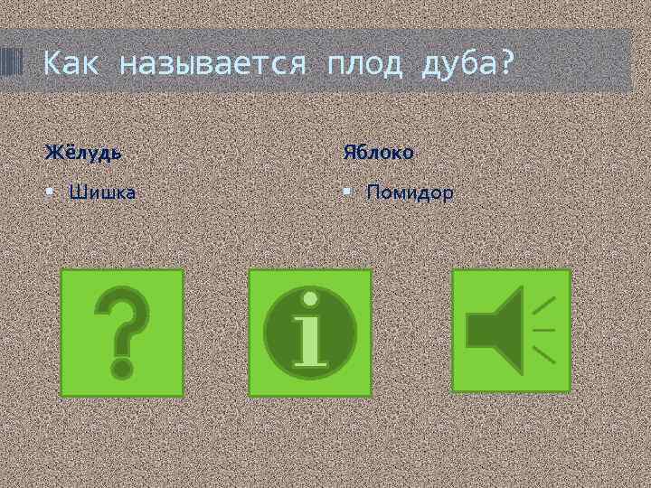 Как называется плод дуба? Жёлудь Яблоко Шишка Помидор 