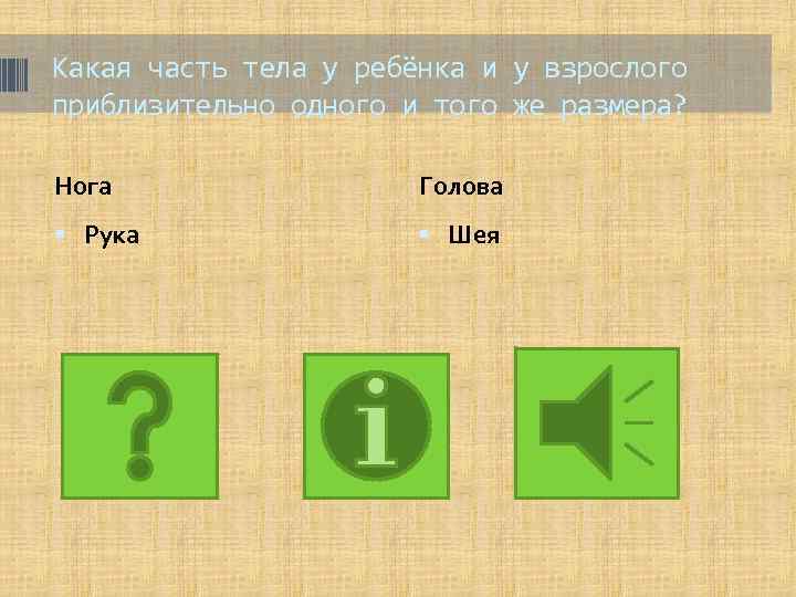 Какая часть тела у ребёнка и у взрослого приблизительно одного и того же размера?