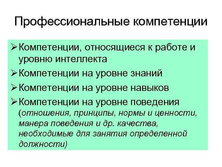 Профессиональные компетенции Ø Компетенции, относящиеся к работе и уровню интеллекта Ø Компетенции на уровне