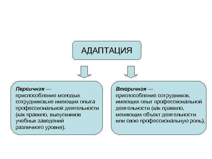 Приспособление адаптация. Первичная и вторичная адаптация. Первичная адаптация персонала это. Вторичная адаптация сотрудников. Схема вторичной адаптации персонала.