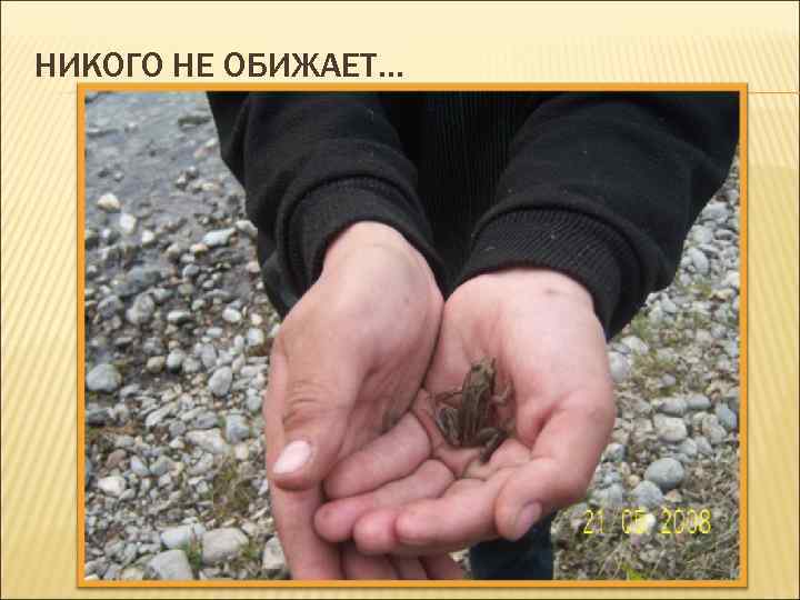 НИКОГО НЕ ОБИЖАЕТ… 