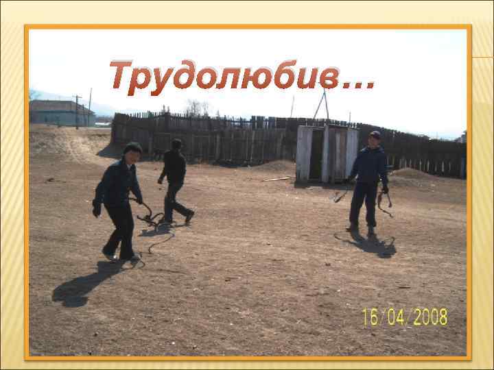 Трудолюбив… 