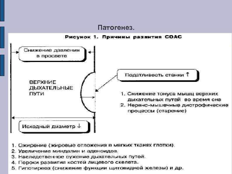 Патогенез. 