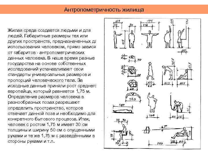Антропометричность жилища Жилая среда создается людьми и для людей. Габаритные размеры тех или других