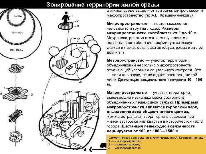 Зонирование территории жилой среды В жилой среде выделяют три зоны: микро-, мезо- и макропространство