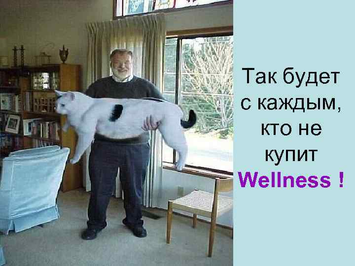 Так будет с каждым, кто не купит Wellness ! 