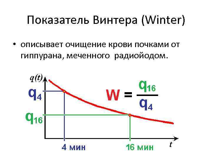 Показатель Винтера (Winter) • описывает очищение крови почками от гиппурана, меченного радиойодом. 