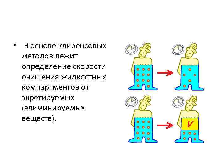  • В основе клиренсовых методов лежит определение скорости очищения жидкостных компартментов от экретируемых