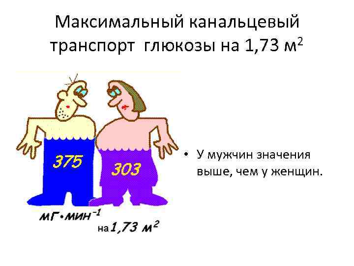 Максимальный канальцевый транспорт глюкозы на 1, 73 м 2 • У мужчин значения выше,