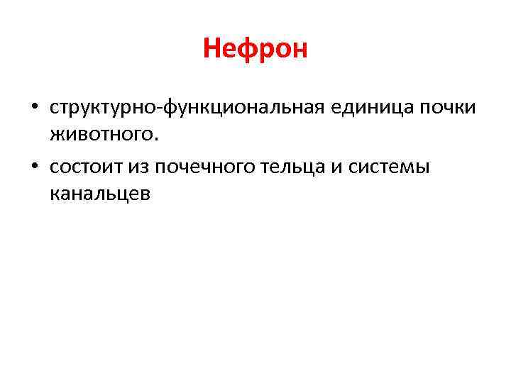 Нефрон • структурно-функциональная единица почки животного. • состоит из почечного тельца и системы канальцев