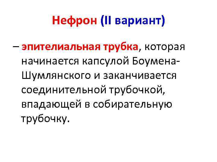 Нефрон (II вариант) – эпителиальная трубка, которая начинается капсулой Боумена. Шумлянского и заканчивается соединительной