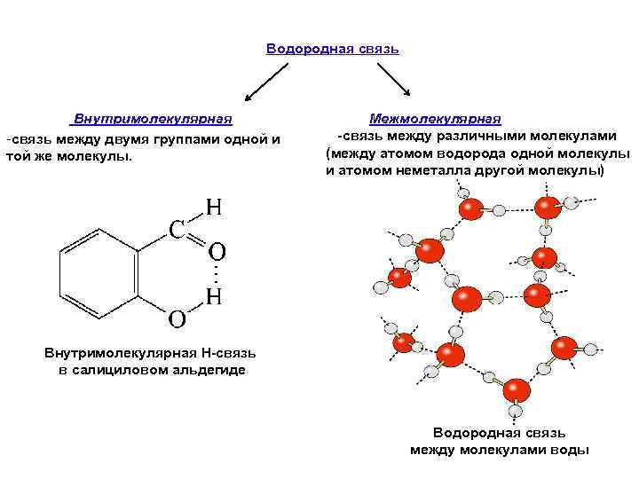 Водородная связь Внутримолекулярная -связь между двумя группами одной и той же молекулы. Межмолекулярная -связь