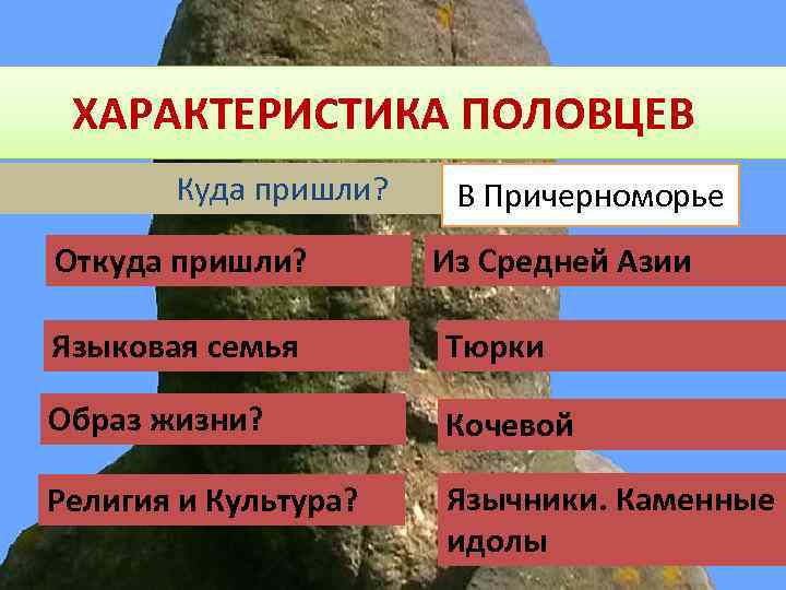 ХАРАКТЕРИСТИКА ПОЛОВЦЕВ Куда пришли? Откуда пришли? В Причерноморье Из Средней Азии Языковая семья Тюрки