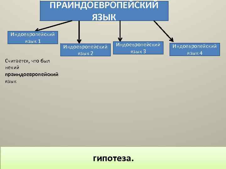 Индоевропейская лексика