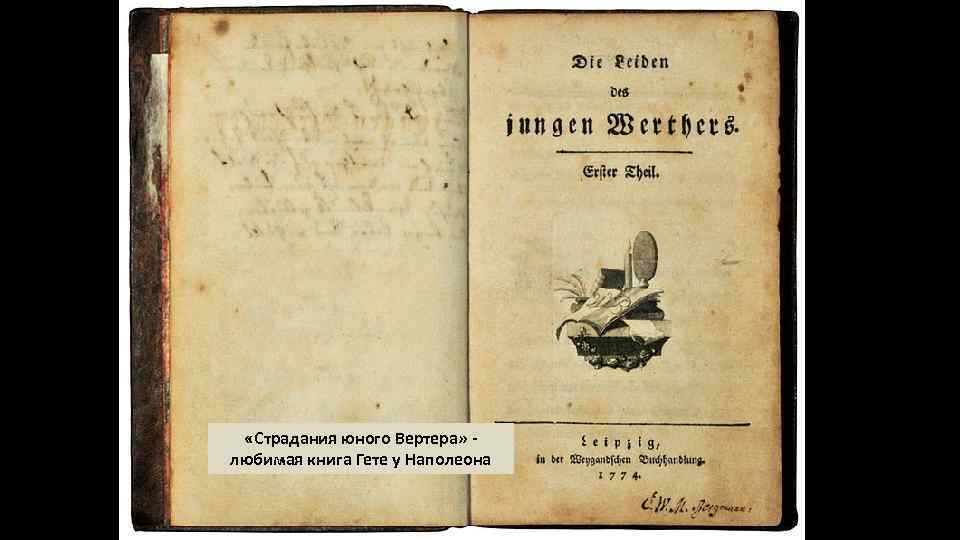  «Страдания юного Вертера» любимая книга Гете у Наполеона 