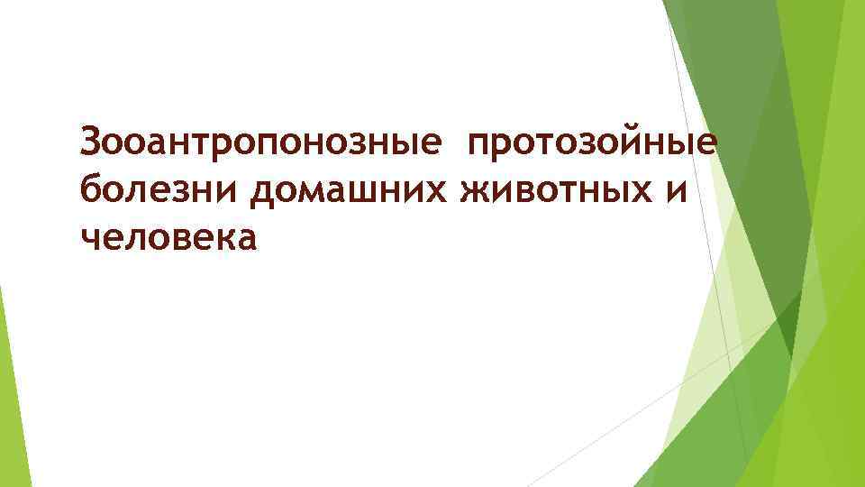 Зооантропонозные протозойные болезни домашних животных и человека 