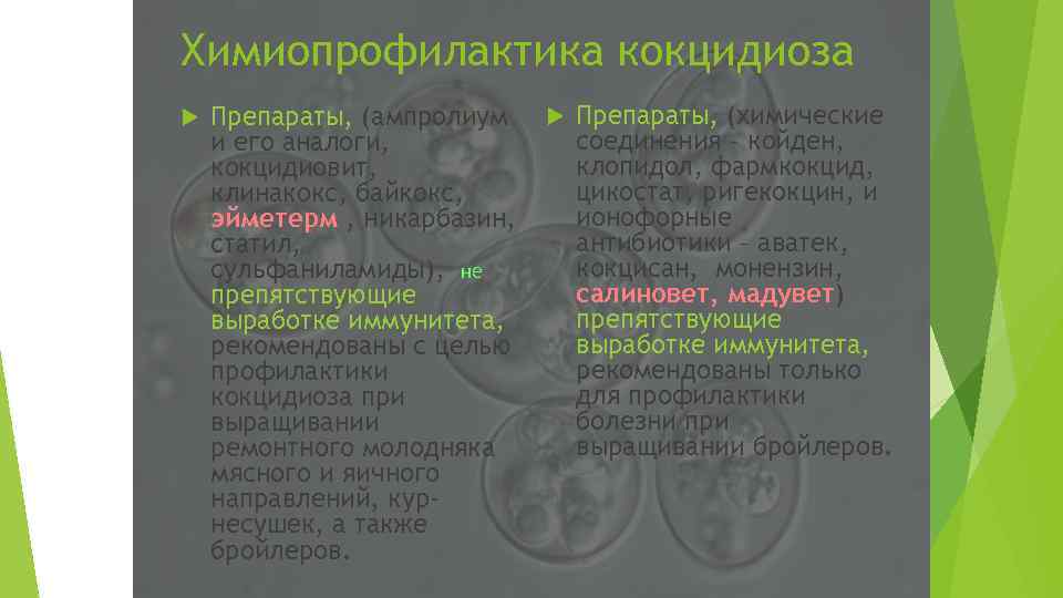 Химиопрофилактика кокцидиоза Препараты, (ампролиум и его аналоги, кокцидиовит, клинакокс, байкокс, эйметерм , никарбазин, статил,