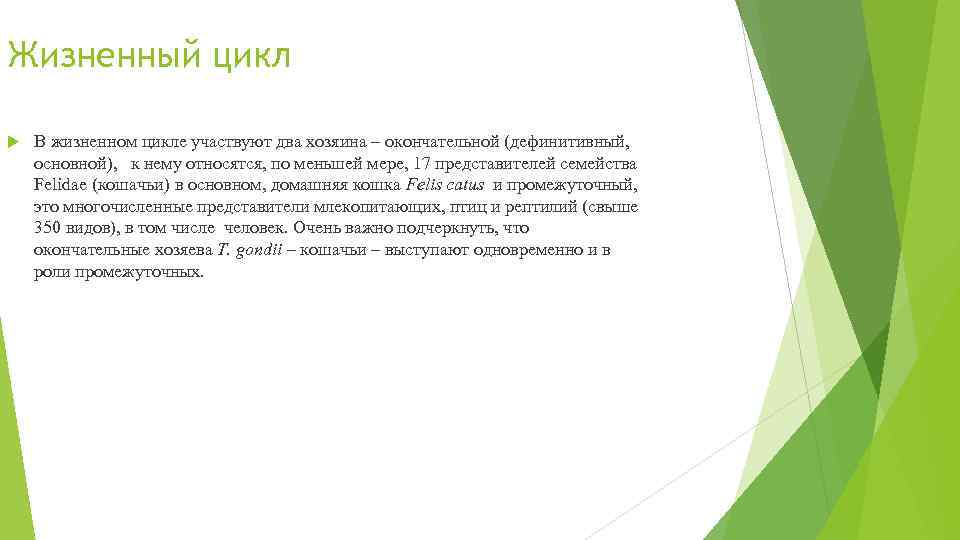 Жизненный цикл В жизненном цикле участвуют два хозяина – окончательной (дефинитивный, основной), к нему
