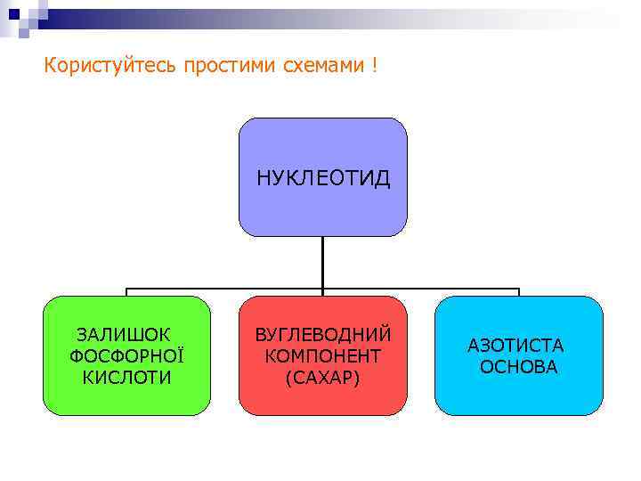 Користуйтесь простими схемами ! НУКЛЕОТИД ЗАЛИШОК ФОСФОРНОЇ КИСЛОТИ ВУГЛЕВОДНИЙ КОМПОНЕНТ (САХАР) АЗОТИСТА ОСНОВА 