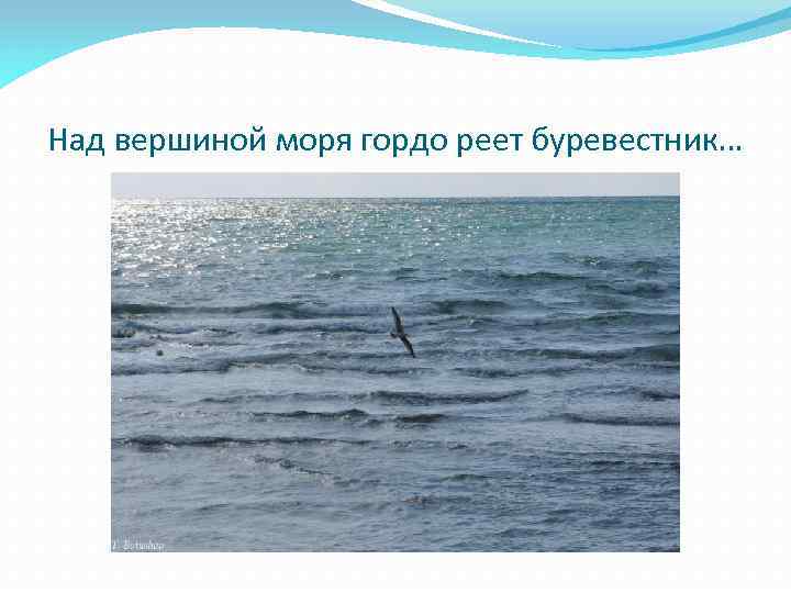 Над седой равниной моря гордо реет буревестник