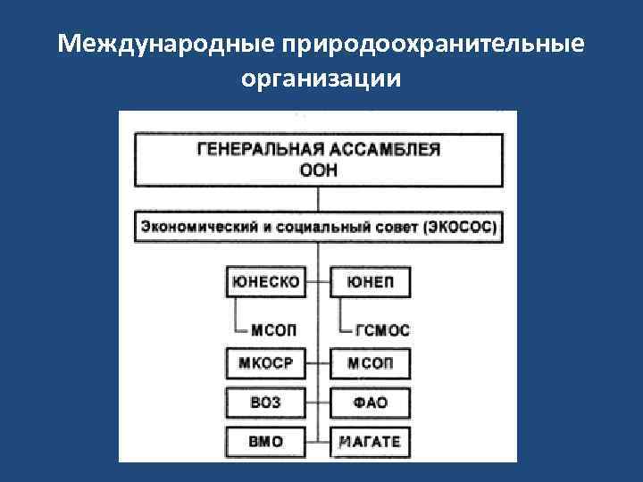 Международные природоохранительные организации 