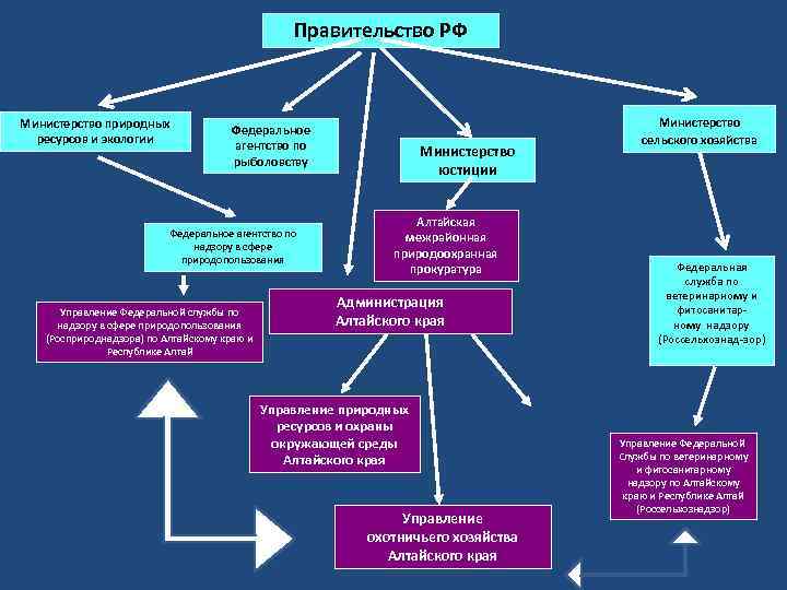 Правительство РФ Министерство природных ресурсов и экологии Федеральное агентство по рыболовству Федеральное агентство по