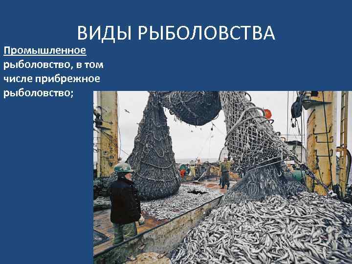 ВИДЫ РЫБОЛОВСТВА Промышленное рыболовство, в том числе прибрежное рыболовство; 