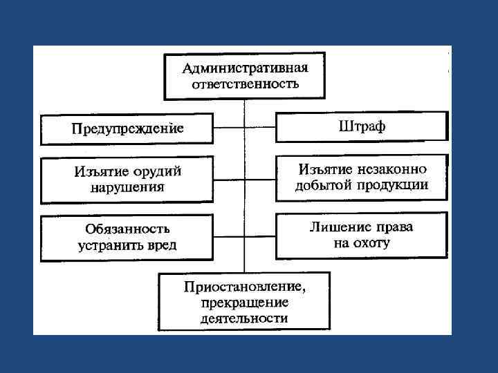 Административная экологическая ответственность