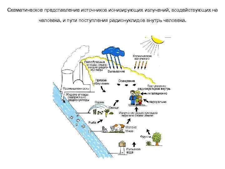 Схематическое представление источников ионизирующих излучений, воздействующих на человека, и пути поступления радионуклидов внутрь человека.