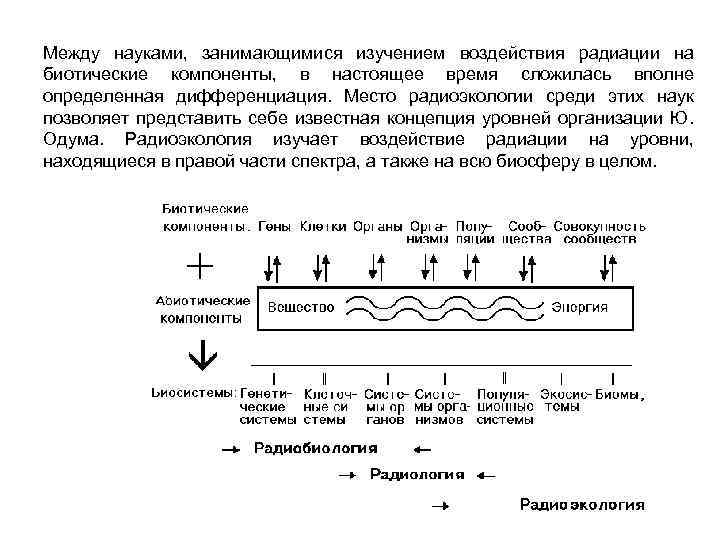 Между науками, занимающимися изучением воздействия радиации на биотические компоненты, в настоящее время сложилась вполне