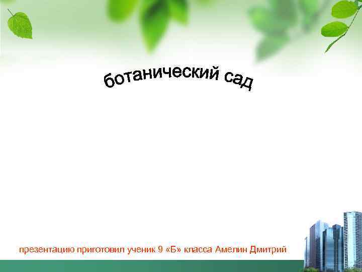 презентацию приготовил ученик 9 «Б» класса Амелин Дмитрий 