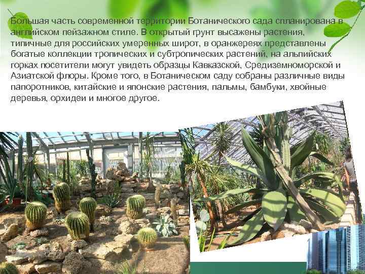 Большая часть современной территории Ботанического сада спланирована в английском пейзажном стиле. В открытый грунт