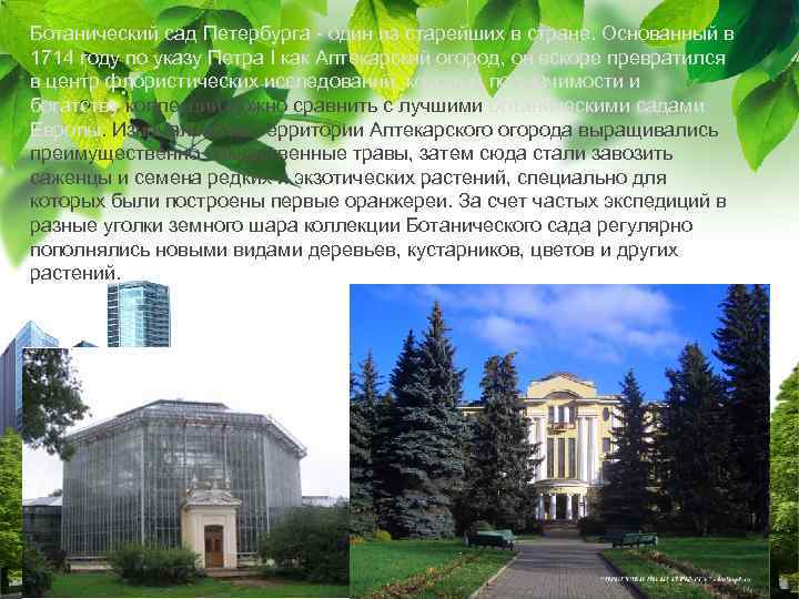 Ботанический сад Петербурга - один из старейших в стране. Основанный в 1714 году по