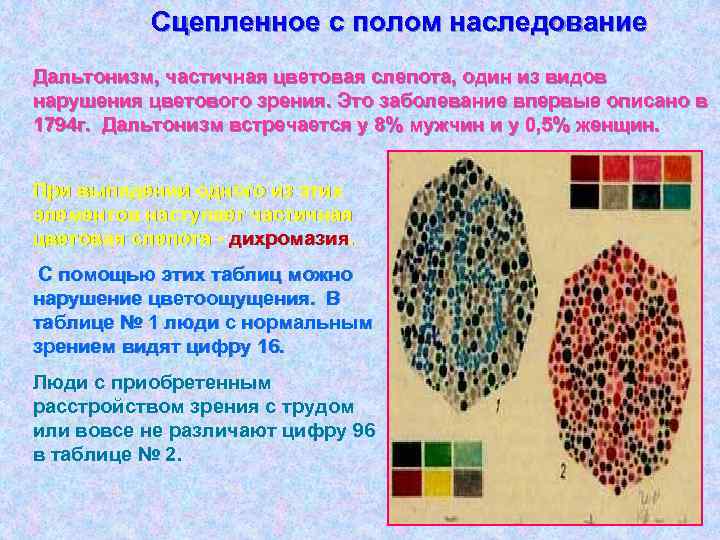 Сцепленное с полом наследование Дальтонизм, частичная цветовая слепота, один из видов нарушения цветового зрения.
