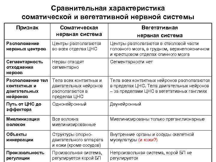 Сравнительная характеристика соматической и вегетативной нервной системы Признак Соматическая нервная система Вегетативная нервная система
