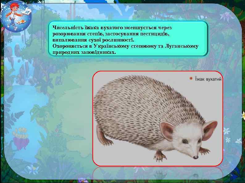 Чисельність їжака вухатого зменшується через розорювання степів, застосування пестицидів, випалювання сухої рослинності. Охороняється в