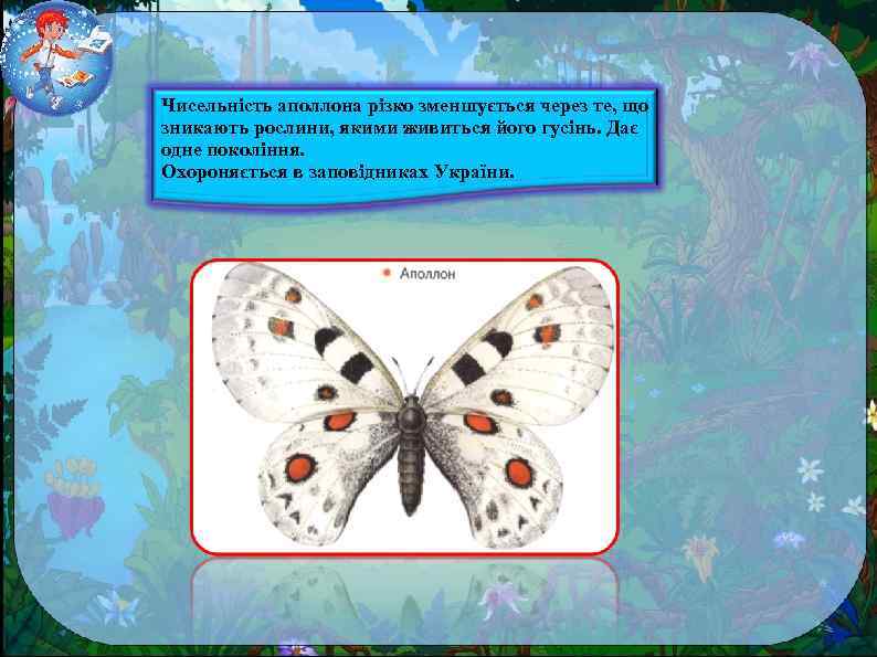 Чисельність аполлона різко зменшується через те, що зникають рослини, якими живиться його гусінь. Дає
