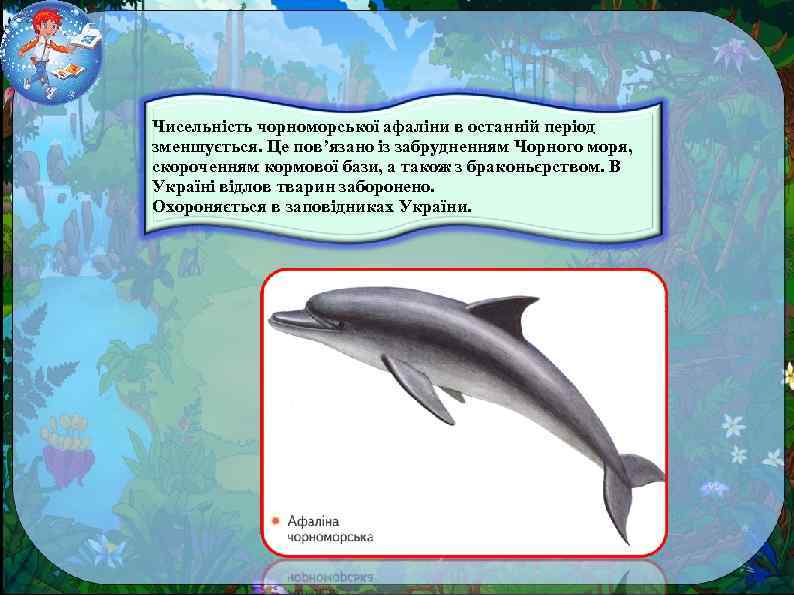 Чисельність чорноморської афаліни в останній період зменшується. Це пов’язано із забрудненням Чорного моря, скороченням