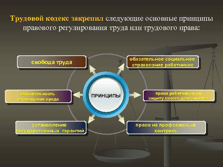 Трудовой кодекс закрепил следующие основные принципы правового регулирования труда или трудового права: обязательное социальное