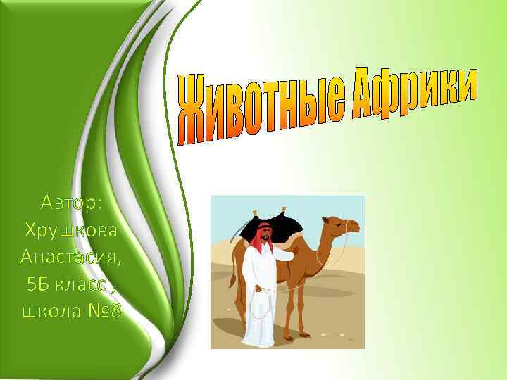 Автор: Хрушкова Анастасия, 5 Б класс , школа № 8 